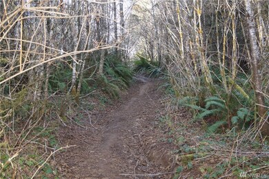 0 McGaughy Ridge Ln unit 1574341, Elma, WA 98541 - photo 7