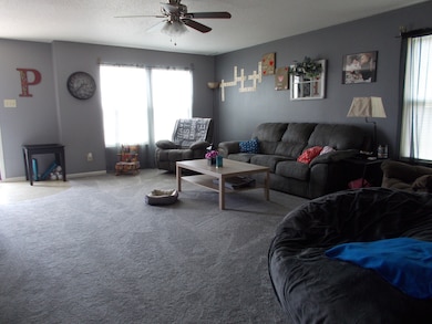 209 Cross Bow St, Sheridan, IN 46069 - photo 4