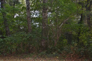 0 Pennsylvania St unit 709527, Bay City, OR 97107 - photo 5