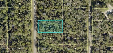 1808 Robert Ave, Lehigh Acres, FL 33972 - photo 7