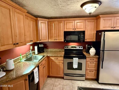 143 E Valley Point Ln unit 1323, Claysburg, PA 16625 - photo 4