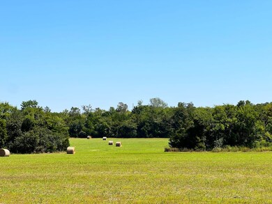 880 Wasden Rd, Hope Hull, AL 36043 - photo 4