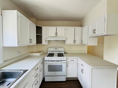 18 Appleton St unit 2A, Somerville, MA 02144 - photo 3