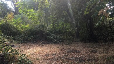 5850 Cedars Rd, Redding, CA 96001 - photo 5