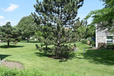 1065 Glouchester Harbor unit 2801, Schaumburg, IL 60193 - photo 2