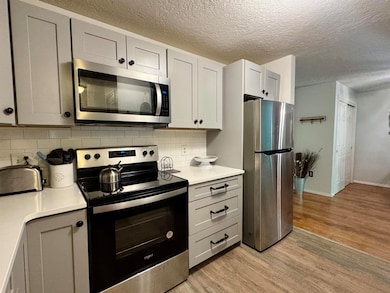 19 Saco St unit 59, Center Conway, NH 03813 - photo 6