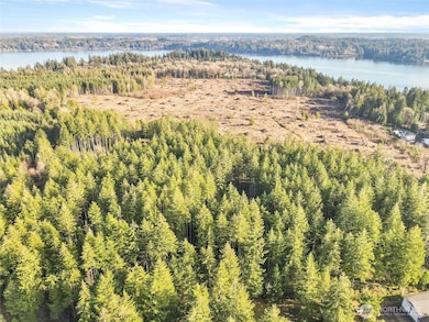 Looking over the entire 140.8 acres, 3 parcels to pick from 2-40 and 1-60.8 acre parcels