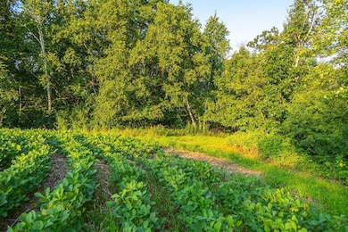 N34701 County Rd N, Blair, WI 54616 - photo 7