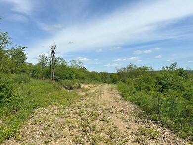 0 Crumb Cemetary Rd unit 22454652, Cairnbrook, PA 15924 - photo 7