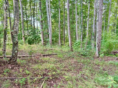 2.01 acres, Lot 971 Soaring Top Ln unit 971, Lenoir, NC 28645 - photo 7