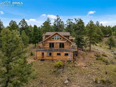 4665 W Highway 24, Florissant, CO 80816 - photo 2