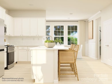 1107 Bandon Dr, Waxhaw, NC 28173 - photo 5