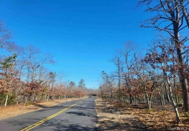 550 Wainscott Nw Rd, East Hampton, NY 11975 - photo 6