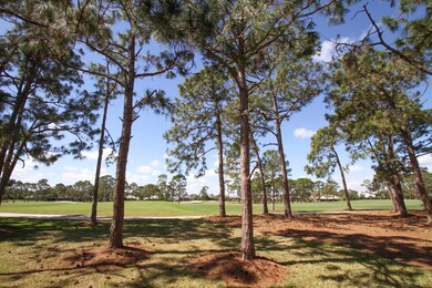Golf View