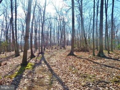 LOT 33 Comforter Ln, North River, VA 22645 - photo 4