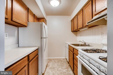 9 Windblown Ct unit 202, Baltimore, MD 21209 - photo 6