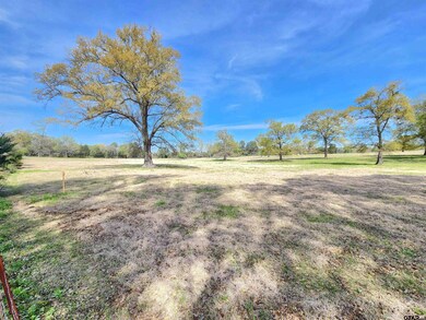 LOT 1 Farm To Market 49, Gilmer, TX 75644 - photo 2