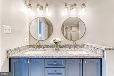 46735 Hobblebush Terrace, Sterling, VA 20164 - photo 6