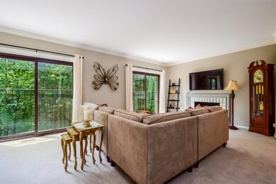 006-photo-living-room-6113385