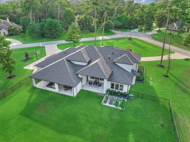 29334 Village Ridge Ct, Magnolia, TX 77355 - photo 5