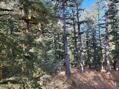 3291 Lake View Dr, Kodiak, AK 99615 - photo 4