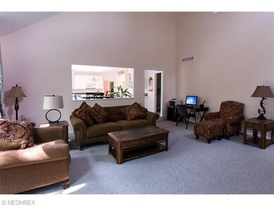 Huge Family Room with Vaulted Ceiling and Gas Fire
