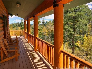 502 Osprey Rd, Como, CO 80432 - photo 4