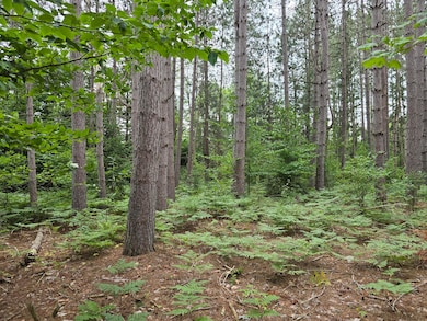 10.11 Acre Golden Rd SE unit 10.11 Acre, Kalkaska, MI 49646 - photo 6