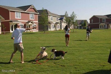 dogs-playing-398.89178193653x0-c-default