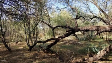 15619 W Pinnacle Peak 3