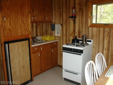 6995 N Parsons Ave, Brohman, MI 49312 - photo 6