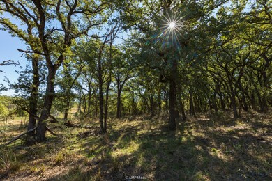 View of undeveloped land