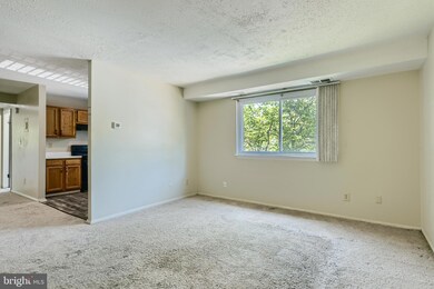 12001 Tarragon Rd unit H, Reisterstown, MD 21136 - photo 3