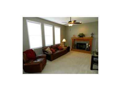 Big living room with tons of natural light!