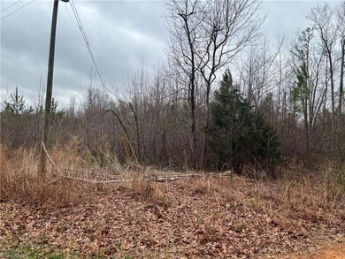 0 Borough Ave unit 1061533, Seagrove, NC 27341 - photo 4