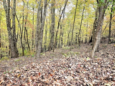 0 Drew Ct unit RTC3050632, Smithville, TN 37166 - photo 3