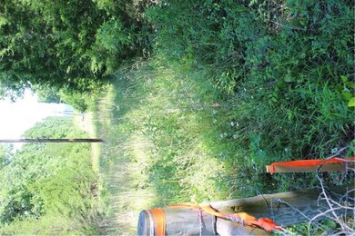 0 Armstrong unit 1017797, Fayetteville, AR 72701 - photo 6