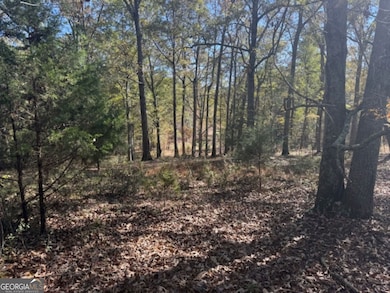 1240 Summit Dr, Watkinsville, GA 30677 - photo 7