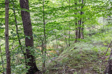 011_4360_s_maple-02