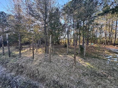 5913 Lepoma Ave, Biloxi, MS 39532 - photo 3