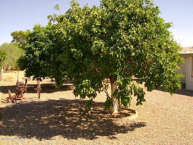 6126 E Ensenada St, Mesa, AZ 85205 - photo 5