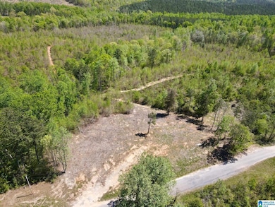 0 Landfill Rd unit 21438392, Ashland, AL 36251 - photo 5