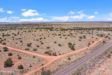 3202 S Canyon Vista Rd, Valle, AZ 86046 - photo 3