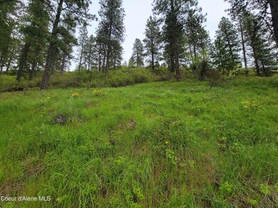 Lt53Blk3 Promontory Rd, Harrison, ID 83833 - photo 3