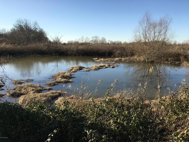 11 Elmburg Rd, Shelbyville, KY 40065 - photo 4