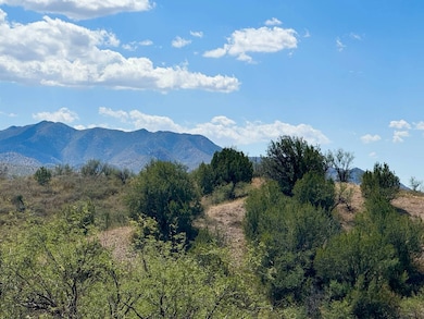 32 AC Temporal Canyon Rd, Patagonia, AZ 85624 - photo 3