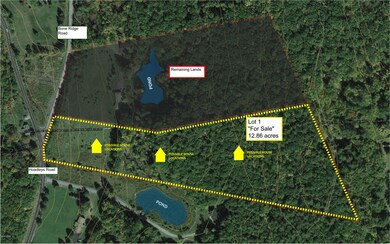 0 Bone Ridge Rd, Paupack Township, PA 18428 - photo 2