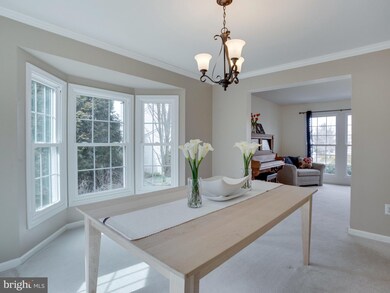 6114 Flemish Blue Ct, Sykesville, MD 21784 - photo 6