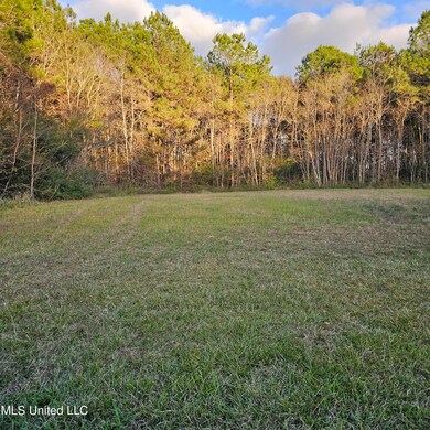 6010 & No Crescent Shore Dr, Biloxi, MS 39532 - photo 4