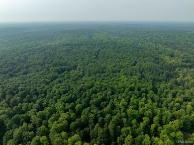 TBD S Ferguson Rd, Eben Junction, MI 49825 - photo 3